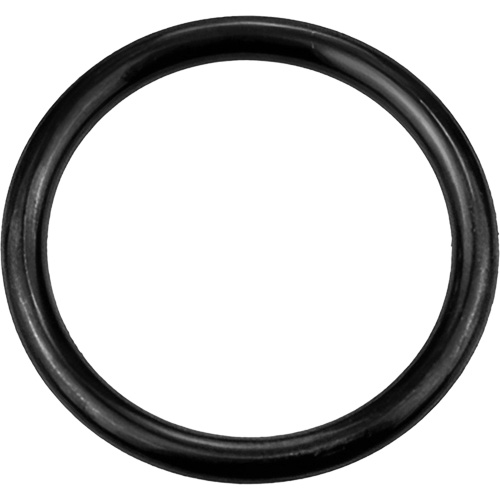 Black Replacement O-Ring, Plain Groupe Generik