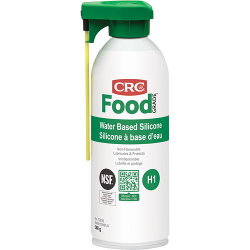 Water-Based Silicone Lubricant, Aerosol Can Groupe Generik