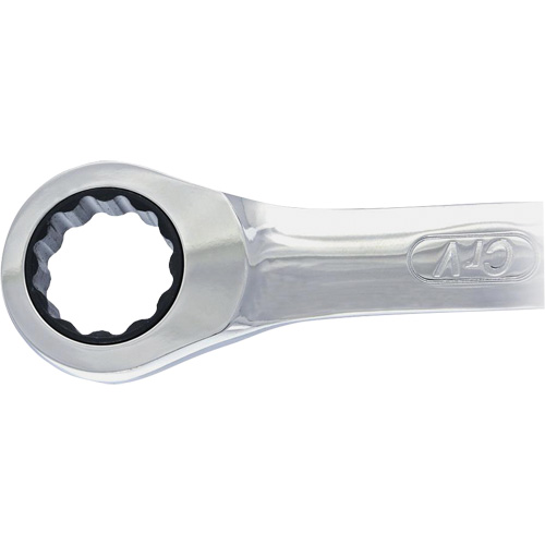 Non-Reversing Ratcheting Combination Wrench Groupe Generik