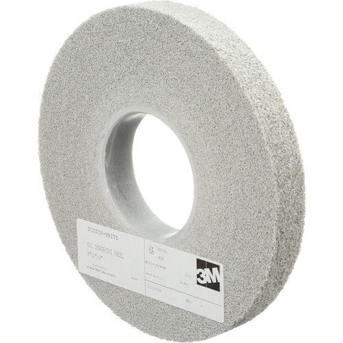 Meules d'&eacute;barbage EXL Scotch-Brite, 8" x 1", Arbre de 3", Oxyde d'aluminium Groupe Generik