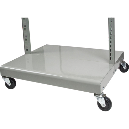 Servante mobile de bacs &agrave; plateaux inclinables - chariot seulement, &agrave; deux c&ocirc;t&eacute;s, 26-1/4" la x 22" p x 57-1/2" h Groupe Generik