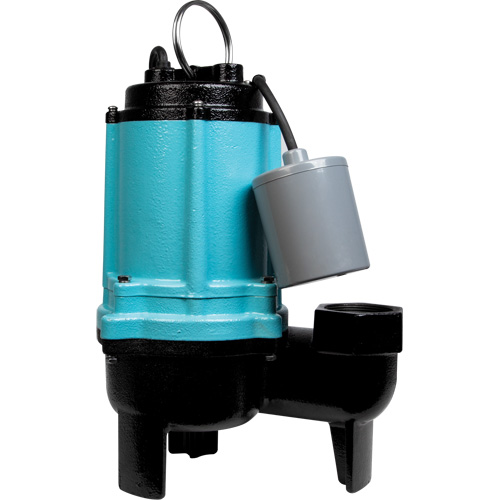 Pompe d'&eacute;gouts de s&eacute;rie 10SC, 115 V, 11 A, 120 gal./min, 1/2 CV Groupe Generik