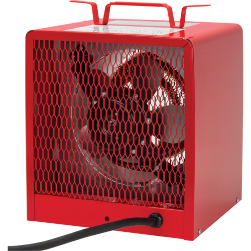 Radiateur, Entrepreneur, &eacute;lectrique, 16 380 BTU/H Groupe Generik