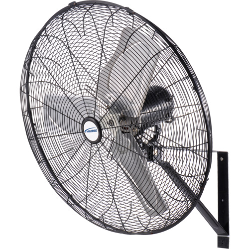 Waterproof Motor Oscillating Wall Fan, Industrial, 3 Speed, 30" Diameter Groupe Generik