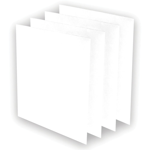 Pr&eacute;-filtres AeraMax Pro AM3 ou AM4, 13,75" la x 0,13" p x 14,38" h Groupe Generik