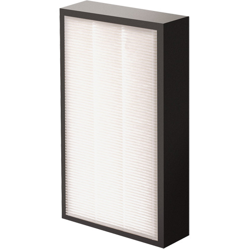 V&eacute;ritables filtre HEPA AeraMax Pro AM2 1-3/4", Boîte, 7,38" la x 1,88" p x 12,88" h Groupe Generik