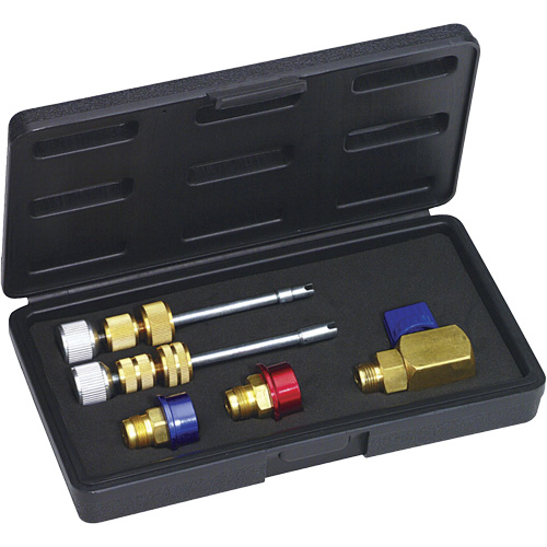 R134a Eaton (M8 & M10) Valve Core Kit Groupe Generik