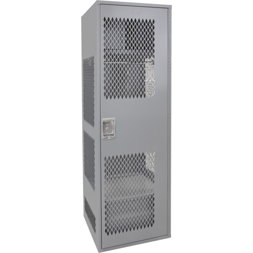 Gear Locker with Door, Steel, 24" W x 24" D x 72" H, Grey Groupe Generik