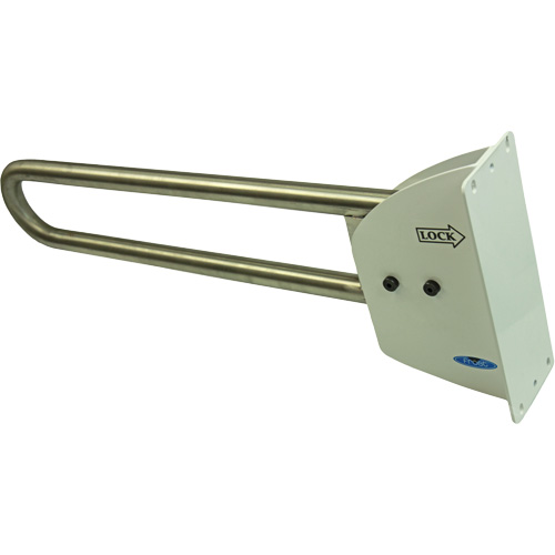 Swing-Up Safety Rail Groupe Generik