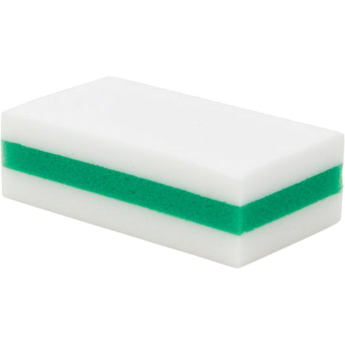 eXpunge&reg; Sponge Plus, Scrubbing, 3-3/8" W x 6-1/4" L Groupe Generik