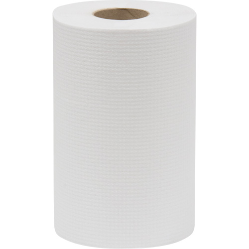 Rouleau d'essuie-tout Everest Pro, 1 pli, Standard, 300' lo Groupe Generik