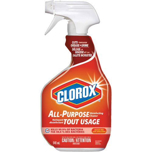 Nettoyant d&eacute;sinfectant tout usage &agrave; pulv&eacute;riser, 946 ml, Bouteille &agrave; g&acirc;chette Groupe Generik