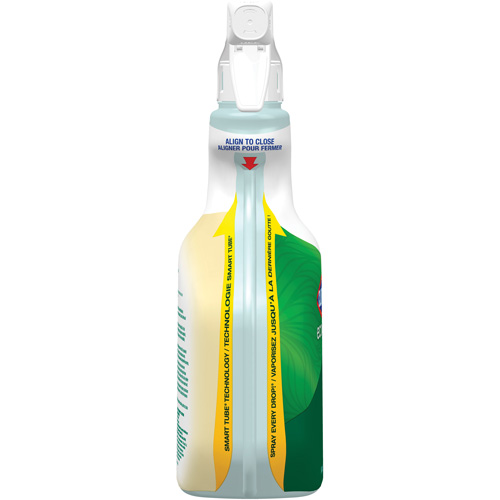 Nettoyant tout usage CloroxPro Clorox EcoClean, 946 ml, Bouteille &agrave; g&acirc;chette Groupe Generik