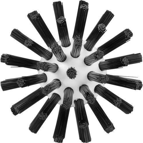 Brosse de nettoyage, Soies Ferme, Longueur de 5-7/10", Noir Groupe Generik