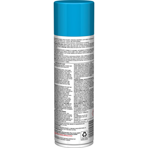 Pro Line Crazy Clean&reg; All Purpose Cleaner, 19 oz., Aerosol Can Groupe Generik