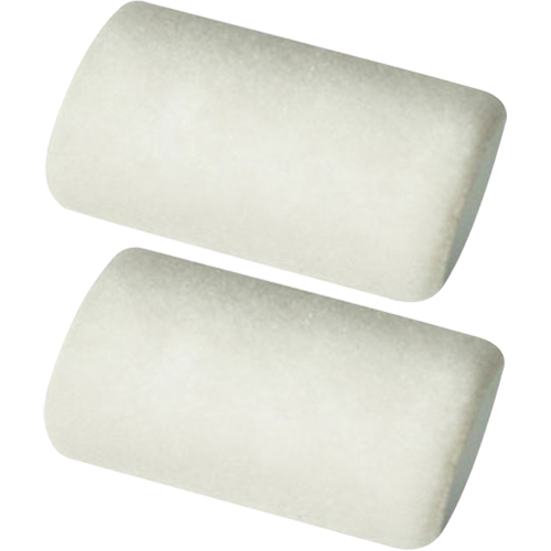 Manchons pour rouleau de calibre professionnel, Nap 6 mm (1/4"), 101,6 mm (4") l Groupe Generik