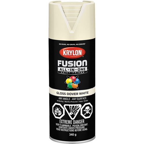 Fusion All-In-One Spray Paint, Dover White, Gloss, 12 oz., Aerosol Can Groupe Generik