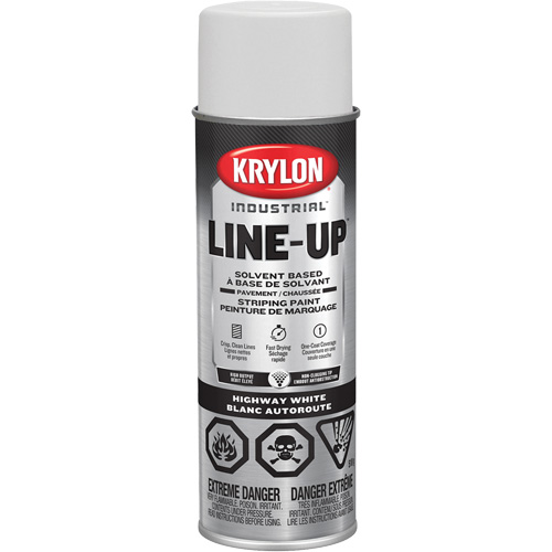 Professional Solvent-Based Marking Paint, White, 18 oz., Aerosol Can Groupe Generik