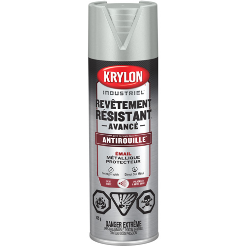 Tough Coat&reg; Advanced Paint with Rust Barrier Technology, Aluminum, Metallic, 425 g, Aerosol Can Groupe Generik