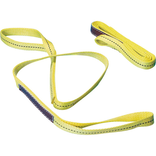 &eacute;lingue en nylon, Pli Double, Oeillet double, Type 3, 1" la x 6' lo, Limite de charge verticale 1000 lb Groupe Generik