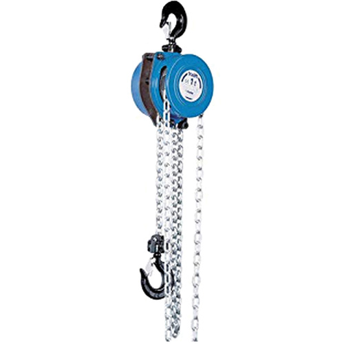 Tralift&reg; Manual Chain Hoist, 10' Lift, 4000 lbs. (2 tons) Capacity, Grade 80 Chain Groupe Generik