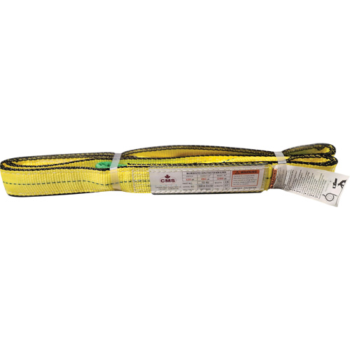 &eacute;lingue en sangle de polyester, Pli Double, Oeillets renvers&eacute;s, Type 4, 2" la x 8' lo, Capacit&eacute; verticale 6400 lb Groupe Generik