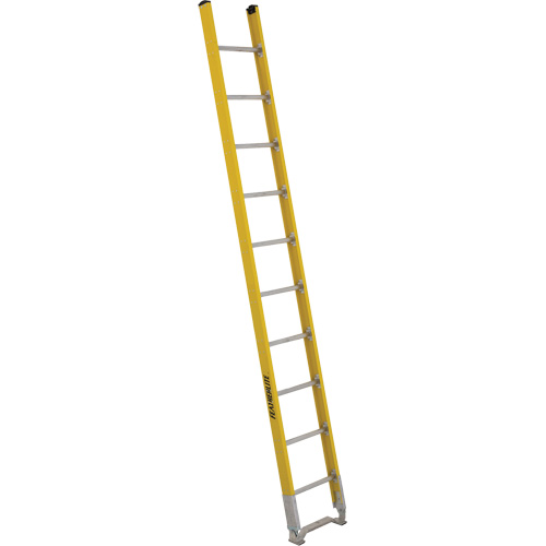 &eacute;chelle simple &agrave; une section - S&eacute;rie 6100, 10', Fibre de verre, 375 lb, CSA calibre 1AA Groupe Generik