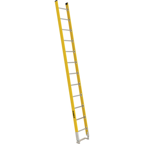 Single Section Straight Ladder - 6100 Series, 12', Fibreglass, 375 lbs., CSA Grade 1AA Groupe Generik