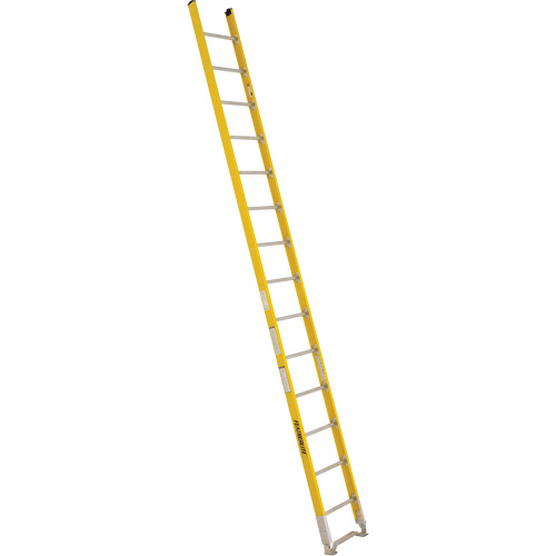 Single Section Straight Ladder - 6100 Series, 14', Fibreglass, 375 lbs., CSA Grade 1AA Groupe Generik