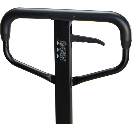 Transpalette &agrave; roues en acier, Acier, 48" lo x 27" la, Capacit&eacute; 5500 lb Groupe Generik