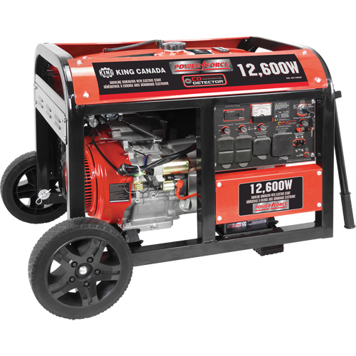 G&eacute;n&eacute;ratrice &agrave; essence &agrave; d&eacute;marreur &eacute;lectrique, 12600 W de surtension, 9000 W nominale, 120 V/240 V, R&eacute;servoir de 31 L Groupe Generik