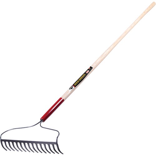 Pro Bow Rake, Wood Handle, 60" L, 16" Blade, 15 Tines Groupe Generik