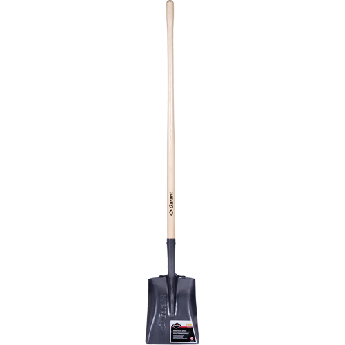 Pelle carr&eacute;e  Pro, Bois, Lame Acier durci, Manche en Droit, Longueur 48" Groupe Generik