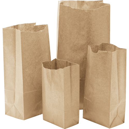 Paper Bags #10, Paper, 6-1/2" W x 13-0/0" L Groupe Generik