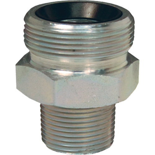 Ergot de joint rod&eacute; Boss, Fer, 2", NPT m&acirc;le Groupe Generik