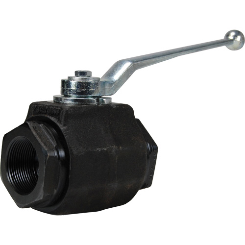 High Pressure Full-Bore Ball Valve, Steel, Manual, FNPT x FNPT Groupe Generik