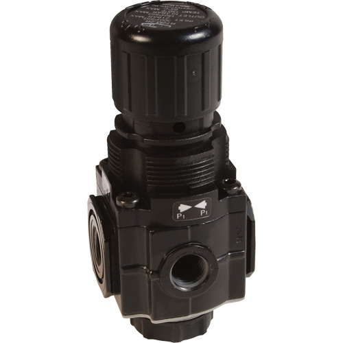 Collecteur de r&eacute;gulateur de s&eacute;rie 1, 1/4" NPT, PSI max. de 150 psi, Standard Groupe Generik