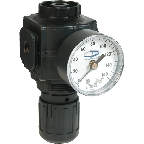 Series 1 Compact Regulator, 1/2" NPT, 150 PSI Max. PSI, Standard Groupe Generik