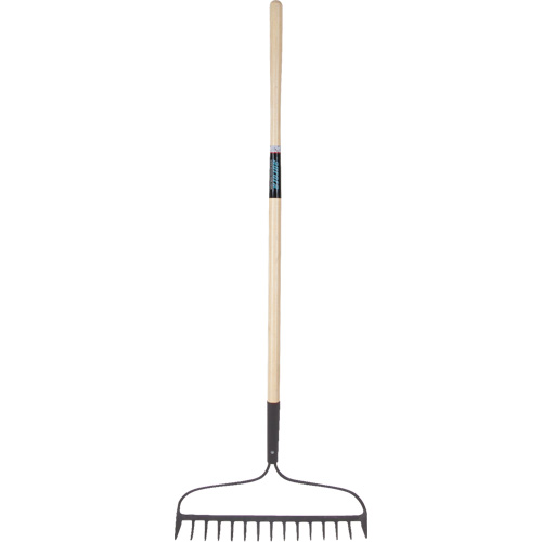 Heavy-Duty Bow Rake, Wood Handle, 58" L, 15" Blade, 15 Tines Groupe Generik