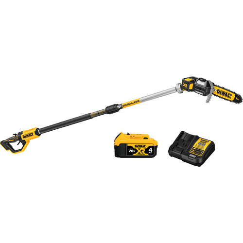 MAX* XR Cordless Polesaw Kit Groupe Generik