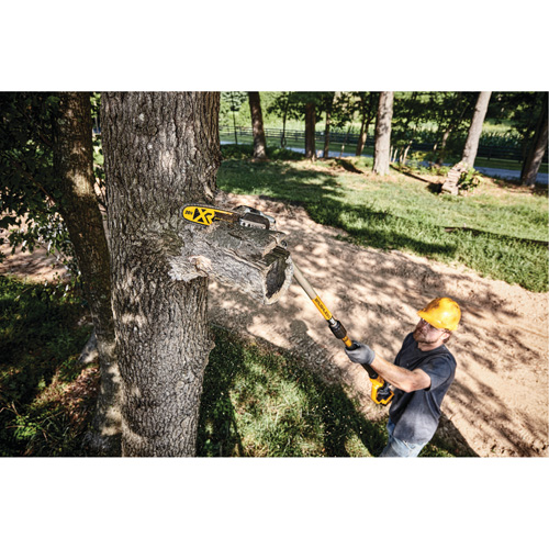 MAX* XR Cordless Polesaw Kit Groupe Generik