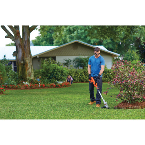 Max* Cordless String Trimmer/Edger Kit, 12", Battery Powered, 20 V Groupe Generik