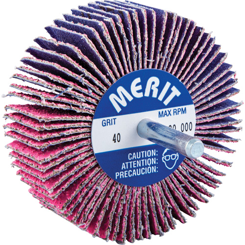 Shank Mounted Mini Flap Wheel, Ceramic Alumina, 40 Grit, 3" x 1" x 1/4" Groupe Generik