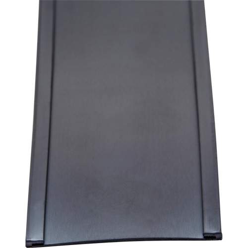 Porte-&eacute;tiquette, Magn&eacute;tique, 600" lo x 2" la Groupe Generik