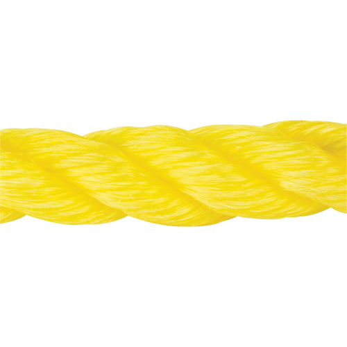 Braided Yellow Rope, Polypropylene, 300' Groupe Generik