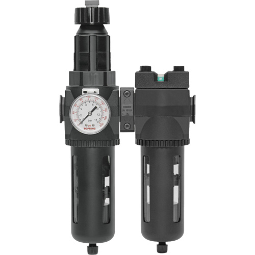 Filtre/d&eacute;tendeur & filtre coalescent Modulair 400 avec bol standard & drain manuel, 3/4" NPTF, 150 psi, Capacit&eacute; de 9,13 oz liq. Groupe Generik