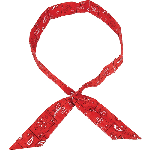 ALLEGRO INDUSTRIES Cool Offs Bandana, Red Groupe Generik