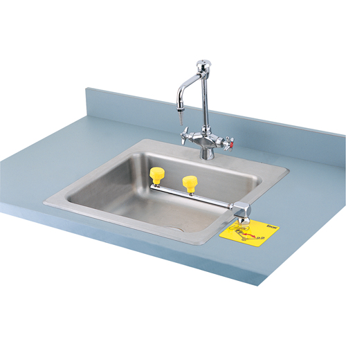 Poste de douche oculaire Swing-Away, Installation Montage sur comptoir Groupe Generik