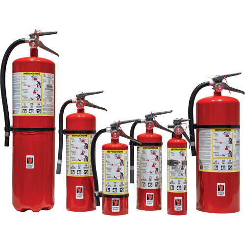 Extincteur d'incendie, ABC, Capacit&eacute; 5 lb Groupe Generik