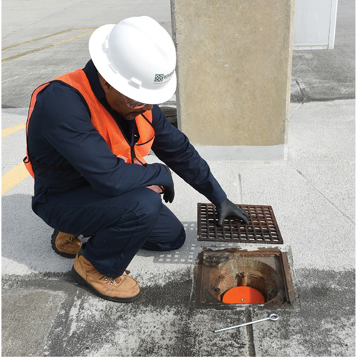 Drain Plug Groupe Generik